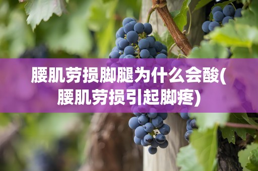 腰肌劳损脚腿为什么会酸(腰肌劳损引起脚疼)