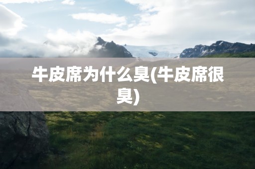 牛皮席为什么臭(牛皮席很臭)