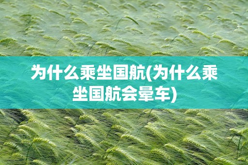 为什么乘坐国航(为什么乘坐国航会晕车)