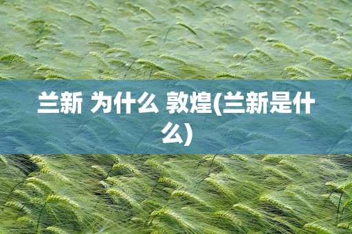 兰新 为什么 敦煌(兰新是什么)
