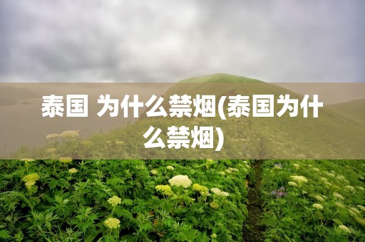 泰国 为什么禁烟(泰国为什么禁烟)