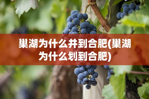 巢湖为什么并到合肥(巢湖为什么划到合肥)