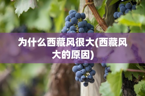 为什么西藏风很大(西藏风大的原因)
