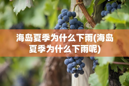 海岛夏季为什么下雨(海岛夏季为什么下雨呢)