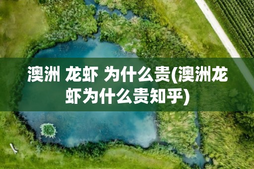 澳洲 龙虾 为什么贵(澳洲龙虾为什么贵知乎)