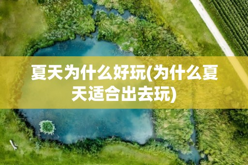 夏天为什么好玩(为什么夏天适合出去玩)