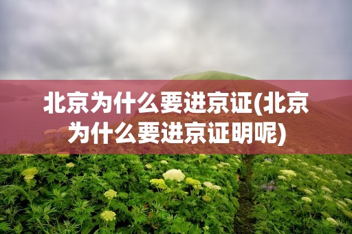 北京为什么要进京证(北京为什么要进京证明呢)