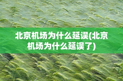 北京机场为什么延误(北京机场为什么延误了)