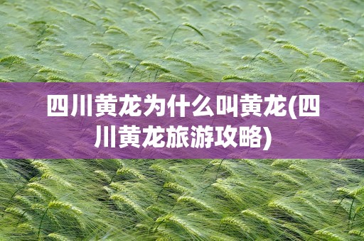 四川黄龙为什么叫黄龙(四川黄龙旅游攻略)