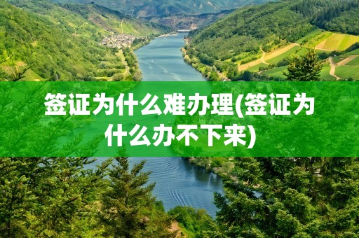 签证为什么难办理(签证为什么办不下来)