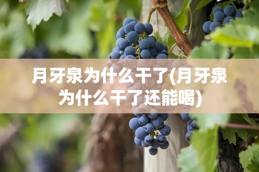 月牙泉为什么干了(月牙泉为什么干了还能喝)