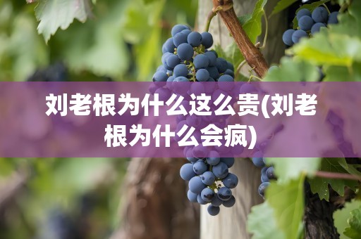 刘老根为什么这么贵(刘老根为什么会疯)