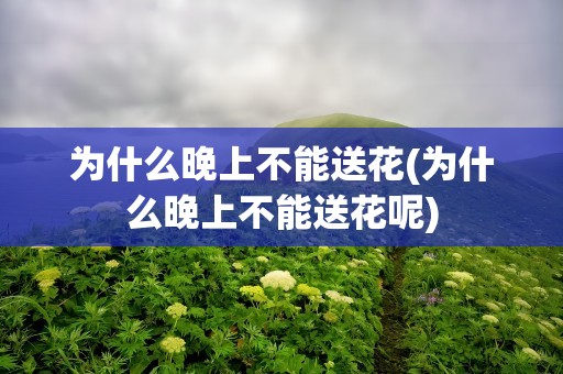 为什么晚上不能送花(为什么晚上不能送花呢)