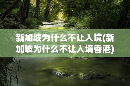新加坡为什么不让入境(新加坡为什么不让入境香港)