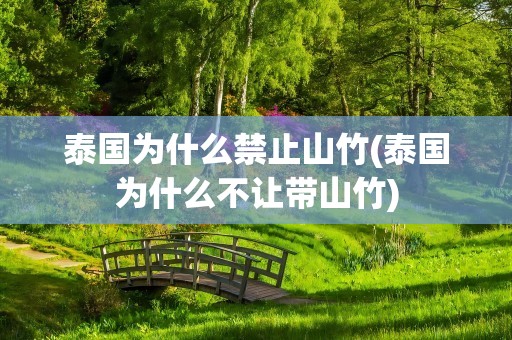 泰国为什么禁止山竹(泰国为什么不让带山竹)
