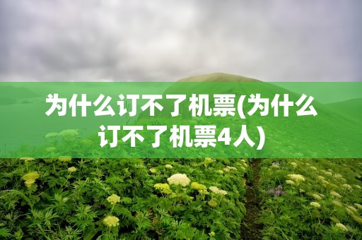为什么订不了机票(为什么订不了机票4人)