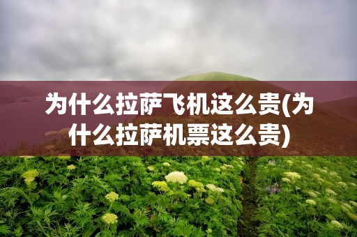 为什么拉萨飞机这么贵(为什么拉萨机票这么贵)