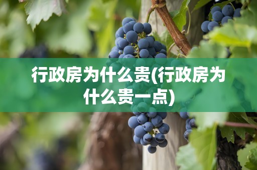 行政房为什么贵(行政房为什么贵一点)