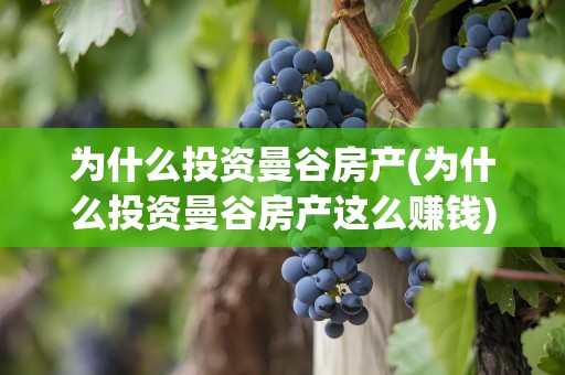 为什么投资曼谷房产(为什么投资曼谷房产这么赚钱)