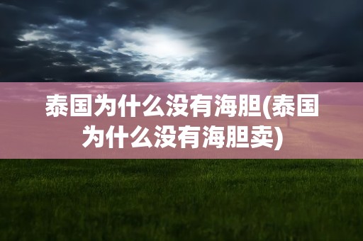 泰国为什么没有海胆(泰国为什么没有海胆卖)