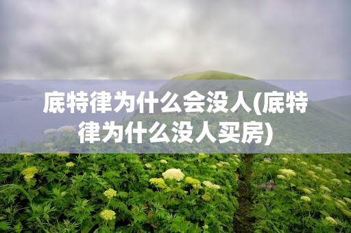 底特律为什么会没人(底特律为什么没人买房)