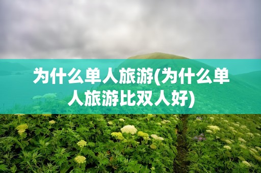 为什么单人旅游(为什么单人旅游比双人好)