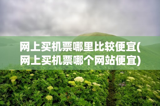 网上买机票哪里比较便宜(网上买机票哪个网站便宜)