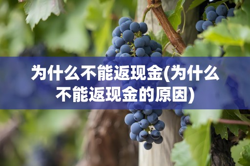 为什么不能返现金(为什么不能返现金的原因)