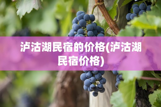 泸沽湖民宿的价格(泸沽湖民宿价格)