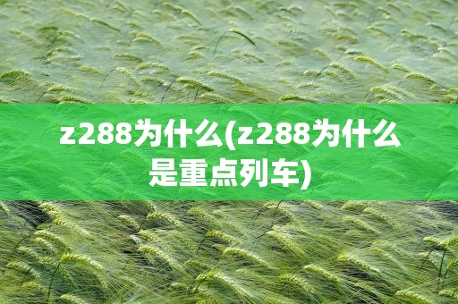 z288为什么(z288为什么是重点列车)