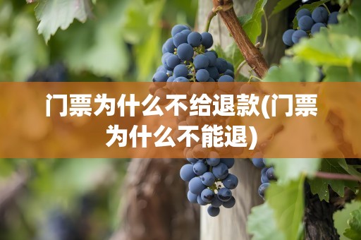 门票为什么不给退款(门票为什么不能退)