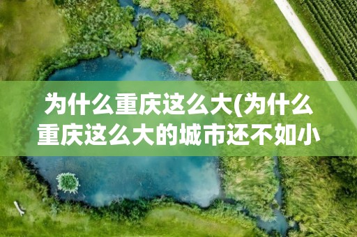 为什么重庆这么大(为什么重庆这么大的城市还不如小小的深圳呢)