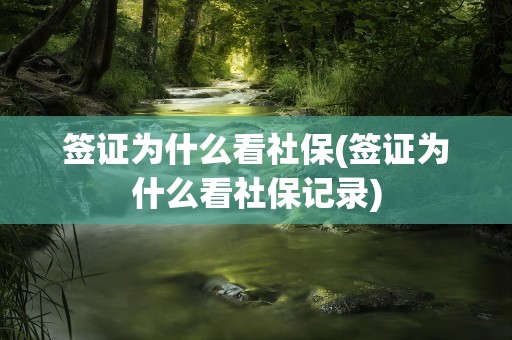 签证为什么看社保(签证为什么看社保记录)