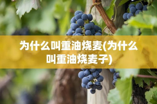 为什么叫重油烧麦(为什么叫重油烧麦子)