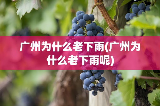 广州为什么老下雨(广州为什么老下雨呢)