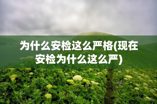 为什么安检这么严格(现在安检为什么这么严)