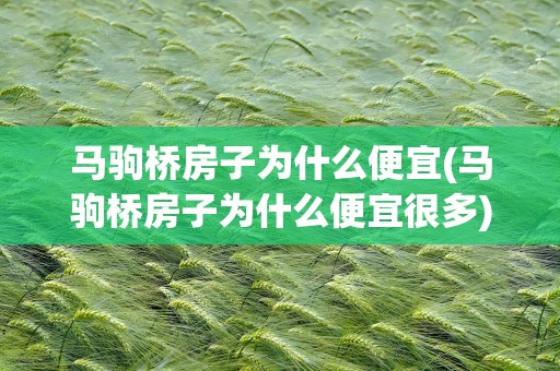 马驹桥房子为什么便宜(马驹桥房子为什么便宜很多)