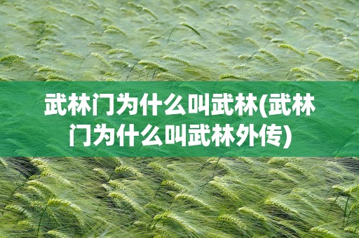 武林门为什么叫武林(武林门为什么叫武林外传)