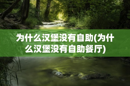 为什么汉堡没有自助(为什么汉堡没有自助餐厅)