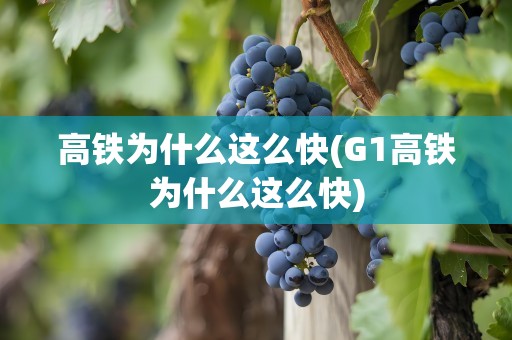 高铁为什么这么快(G1高铁为什么这么快)