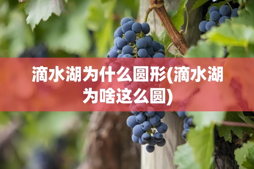 滴水湖为什么圆形(滴水湖为啥这么圆)