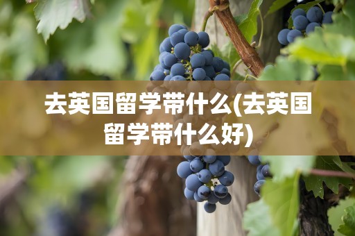 去英国留学带什么(去英国留学带什么好)