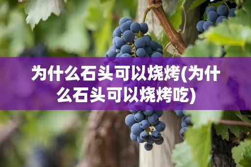为什么石头可以烧烤(为什么石头可以烧烤吃)