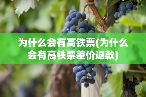 为什么会有高铁票(为什么会有高铁票差价退款)
