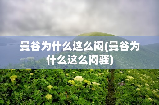 曼谷为什么这么闷(曼谷为什么这么闷骚)
