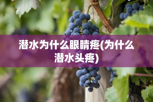 潜水为什么眼睛疼(为什么潜水头疼)