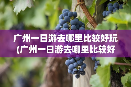 广州一日游去哪里比较好玩(广州一日游去哪里比较好玩的)