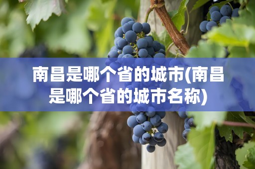 南昌是哪个省的城市(南昌是哪个省的城市名称)