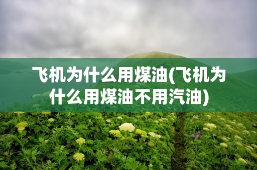 飞机为什么用煤油(飞机为什么用煤油不用汽油)
