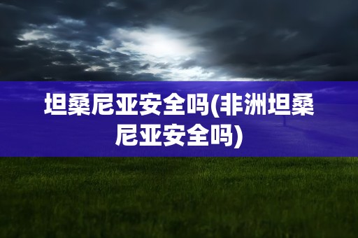 坦桑尼亚安全吗(非洲坦桑尼亚安全吗)